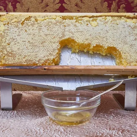 Bel Sito E Berlino Otel