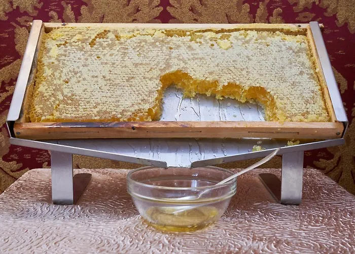 Bel Sito E Berlino Ξενοδοχείο